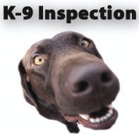 Bed Bug Dog Inspection