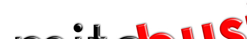 BedBug Exterminator NY