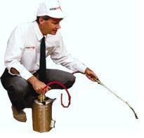 Pest Control Services NY, NJ