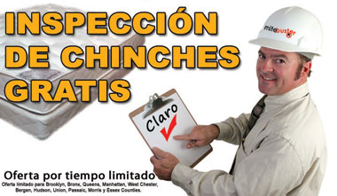 Inspection de Chinches Gratis NYC