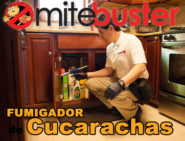 Fumigador de Cucarachas