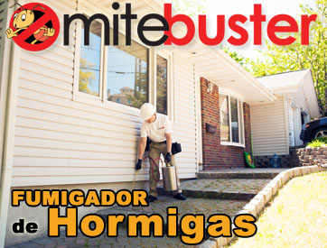 Fumigador de Hormigas