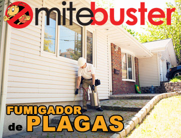 Fumigador de Plagas