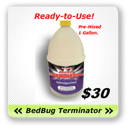 Natural Bed-Bug Solution