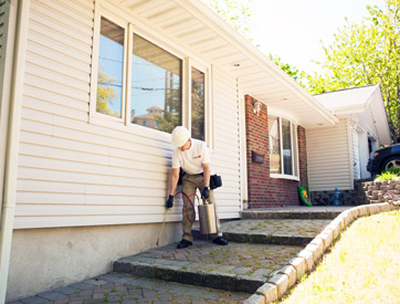 Possum Removal in New Jersey