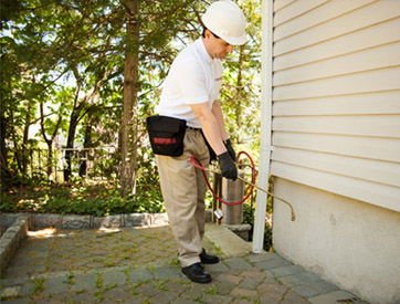 BedBug Inspection NJ